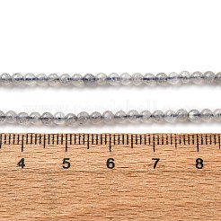Natural Labradorite Beads Strands&nbsp;G-A276-A02-3mm