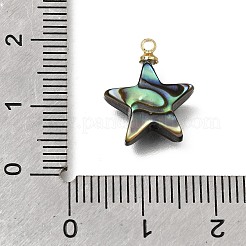 天然アワビ貝ペンダント  真鍮パーツ  スターのチャーム  15x12.5x3.5mm  穴：1.2mm&nbsp;SH-CJC0AC7-01D-G