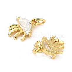 Brass Micro Pave Cubic Zirconia Charms&nbsp;KK-I381-05G-02