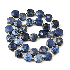 Natural Dumortierite Beads Strands&nbsp;G-B094-A36-01