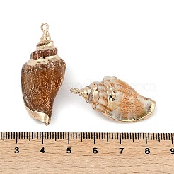 天然石シェルペンダント  貝殻の形のチャーム  29~45x12.5~20x11~16mm  穴：3.5mm&nbsp;SHEL-K009-01C