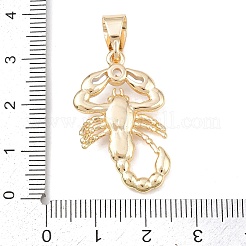 真鍮チャーム  ローズゴールド、プラチナ＆ゴールデン＆  サソリ  30x19x4.5mm  穴：9x4.5mm&nbsp;KK-K409-02G