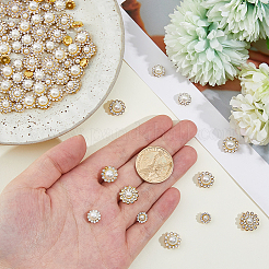 160Pcs Glass Rhinestone Sew on Rhinestone&nbsp;FIND-HS0002-23