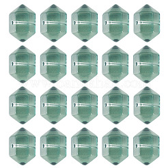 30Pcs Transparent Handmade Lampwork Beads&nbsp;LAMP-TADJ0001-12J