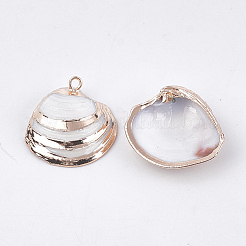 電気メッキシェルペンダント  鉄パーツ  ゴールドカラー  貝殻色  16~29x16~29x5~8mm  穴：1.4~1.8mm&nbsp;SSHEL-T009-17