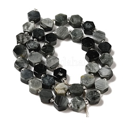 Natural Eagle Eye Stone Beads Strands&nbsp;G-P534-A14-02