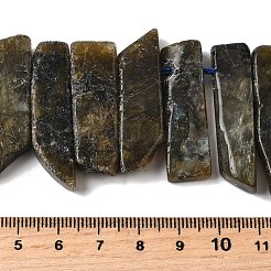 Natural Larvikite Beads Strands&nbsp;G-S386-D10