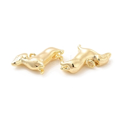 Brass Charms&nbsp;KK-G447-02G