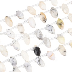 Natural White African Opal Beads Strands&nbsp;G-P607-A02-01