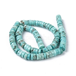 Natural Howlite Beads Strands&nbsp;X-TURQ-L030-04C-01