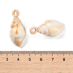 Opaque Acrylic Pendants&nbsp;OACR-U004-06F
