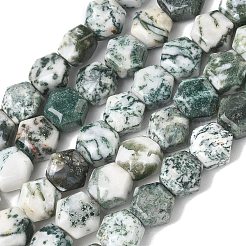 Natural Tree Agate Beads Strands&nbsp;G-G463-A07-10x11mm