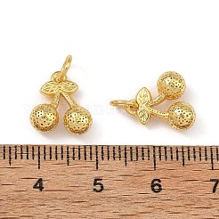 Brass Charms&nbsp;KK-F941-42D-G