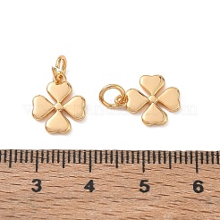 SHEGRACE Brass Charms&nbsp;XGRQ7H579-966G