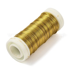 6 Rolls 6 Colors Baking Paint Iron Wire&nbsp;MW-K001-0.4mm