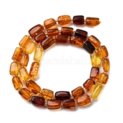 Gradient Color Natural Amber Beads Strands&nbsp;G-F803-D01-04