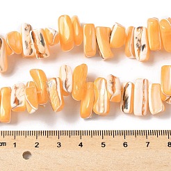 Dyed Natural Trochus Shell Beads Strands&nbsp;SSHEL-C013-09C