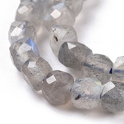 Natural Labradorite Beads Strands&nbsp;G-D0003-B10