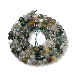 Natural Tree Agate Beads Strands&nbsp;G-H302-A03-02