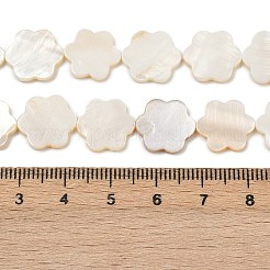 天然淡水シェルビーズ連売り  花  貝殻色  13.5x12.5x1.5~2mm  穴：0.5mm  約29~30個/連  14.96''~15.35''（38~39センチメートル）&nbsp;SHEL-K010-01B