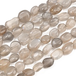 ナチュラル グレー ムーンストーン ビーズ 連売り  ナゲット  タンブルストーン  6~12x6~7x3.5~6mm  穴：0.8mm  約56個/連  15.35~15.55''（39~39.5センチメートル）&nbsp;G-G464-A02-01