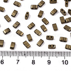 FGB 2-Hole Glass Seed Beads&nbsp;SEED-S031-M-SH601