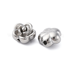 304 Stainless Steel Beads&nbsp;STAS-H235-06C-P