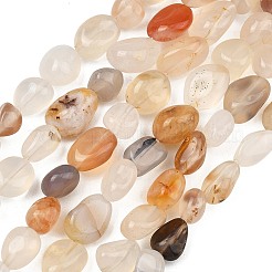 Natural Agate Beads Strands&nbsp;GG-C286-A25-02