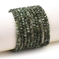 Natural Seraphinite Beads Strands&nbsp;G-K376-A02-3mm