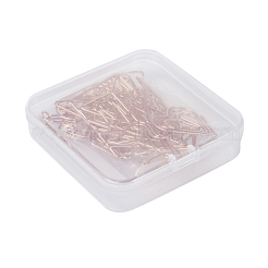 Iron Paperclips&nbsp;TOOL-X0014-03RG