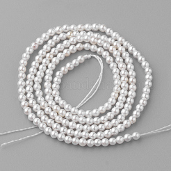 Shell Pearl Beads Strands&nbsp;PEAR-R064-94
