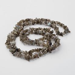 天然ラブラドライトチップ連売りビーズ  5~8mm  穴：0.3mm  約32~32.5インチ&nbsp;X-F069