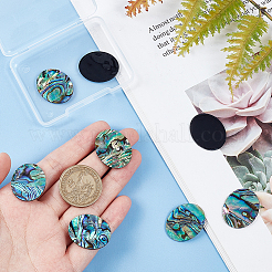 Natural Paua Shell Cabochons&nbsp;SHEL-BC0001-029A