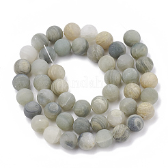 Natural Green Line Jasper Beads Strands&nbsp;G-T106-230