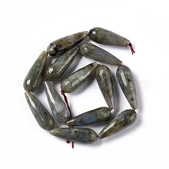 Natural Labradorite Beads Strands&nbsp;G-I328-07