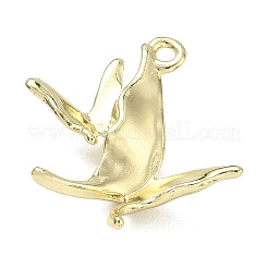 Alloy Pendants&nbsp;AL-CBA1599-02G