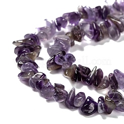 Natural Amethyst Chips&nbsp;X-Z0RRN