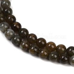 Natural Labradorite Beads Strands&nbsp;LS-G-I253-01-8mm