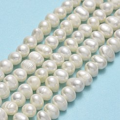 天然養殖淡水パールビーズ連売り  ポテト  ベージュ  4~6x5~7x5~6mm  穴：0.7mm  約67~71個/連  13.58~14.25インチ（34.5~36.2cm）&nbsp;PEAR-F018-17C
