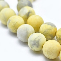 Natural Howlite Bead Strands&nbsp;G-I224-04-8mm