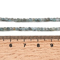 天然石アパタイトビーズ連売り  ファセットテーブルカットキューブ  2.5x2.5x2.5mm  穴：0.8mm  約172個/連  14.96''（38センチメートル）&nbsp;G-RM250104-C8