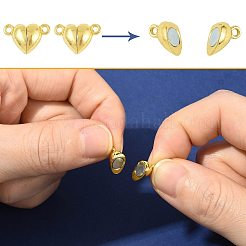 10 Bags Alloy Magnetic Clasps with Loops&nbsp;FIND-FS0004-88G