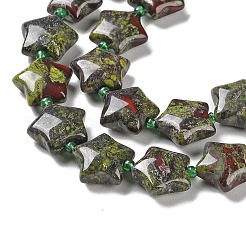 Natural Dragon Blood Jasper Beads Strands&nbsp;G-NH0005-011B