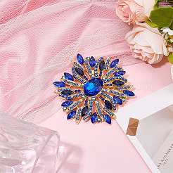 1Pc Alloy Rhinestone Brooches&nbsp;JEWB-MA0001-01B