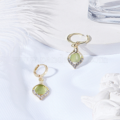 1Pair Alloy Hoop Earrings&nbsp;EJEW-LP0008-041