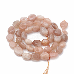 Natural Sunstone Beads Strands&nbsp;X-G-S331-8x10-011