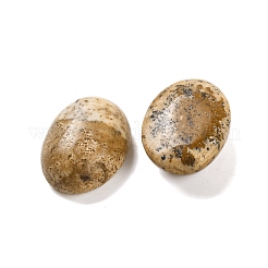 Natural Picture Jasper Cabochons&nbsp;G-B085-06D-03