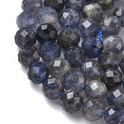 Natural Iolite/Cordierite/Dichroite Beads Strands&nbsp;G-L651-C03-6mm