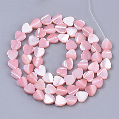 Natural Trochid Shell/Trochus Shell Beads Strands&nbsp;SSHEL-T012-05