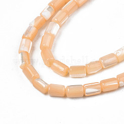 Natural Trochid Shell/Trochus Shell Beads Strands&nbsp;SHEL-N003-26-B06